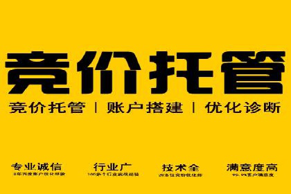 搜索引擎推广的佼佼者——百度搜索推广案例